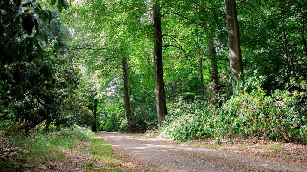 Berkhamsted Estate - Multi use film site - build space, unit base, private roads 6