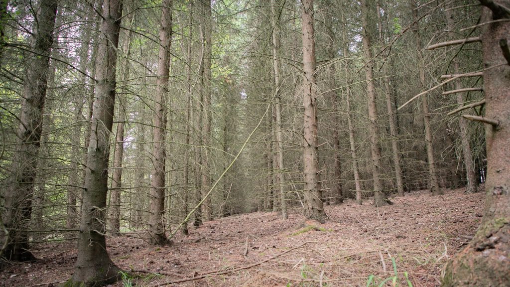Berkhamsted Estate - Multi use film site - build space, unit base, private roads 7
