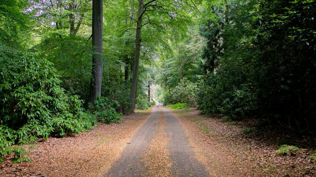 Berkhamsted Estate - Multi use film site - build space, unit base, private roads 7