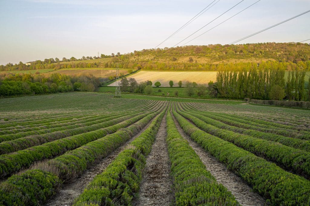 ROLLING HILL FARM Kent countryside shoot location house Castle Farm Location4