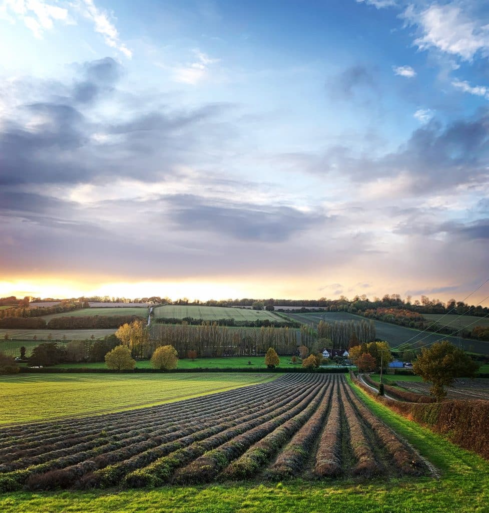 ROLLING HILL FARM Kent countryside shoot location house Castle Farm Location8