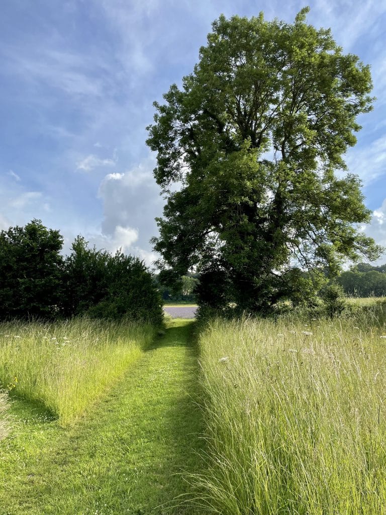 ROLLING HILL FARM Kent countryside shoot location house Lower Austin Lodge Farm exteriors8