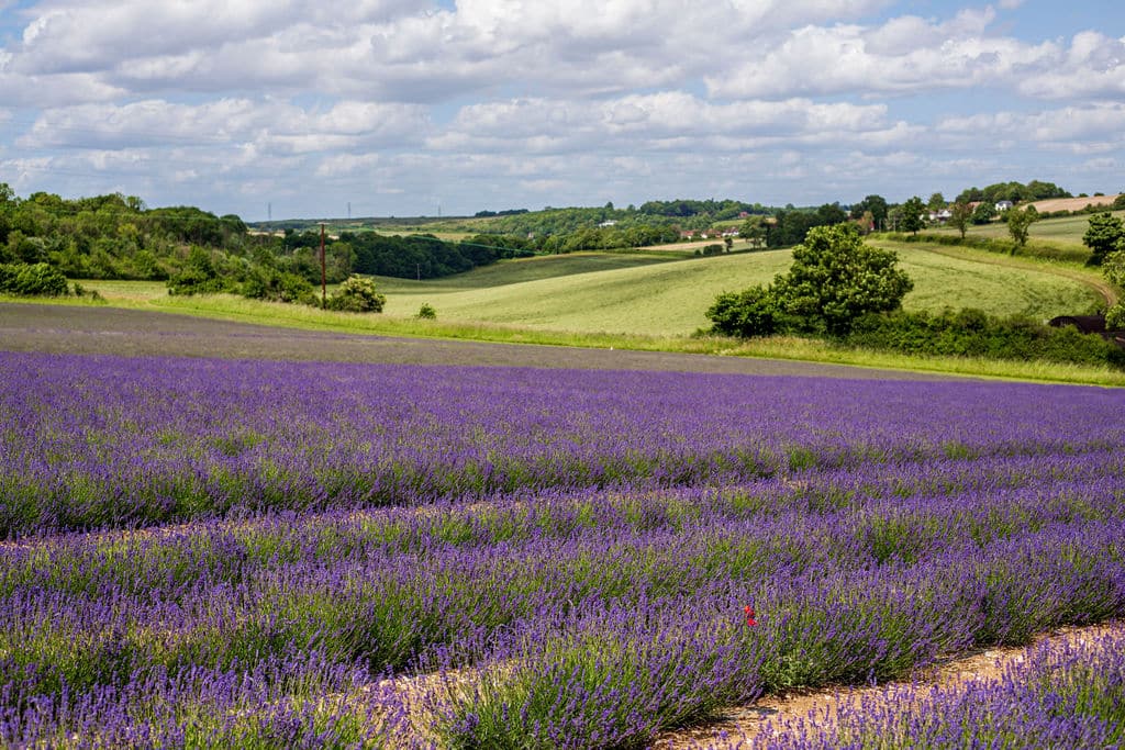 ROLLING HILL FARM Kent countryside shoot location house Lower Austin Lodge Farmhouse Countryside7