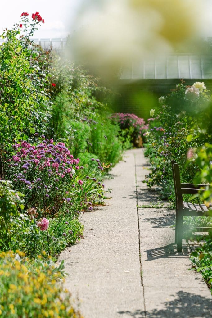 BURNINGFORD MANOR surrey large location house and grounds DesireeANorthPhotography R&S 0027