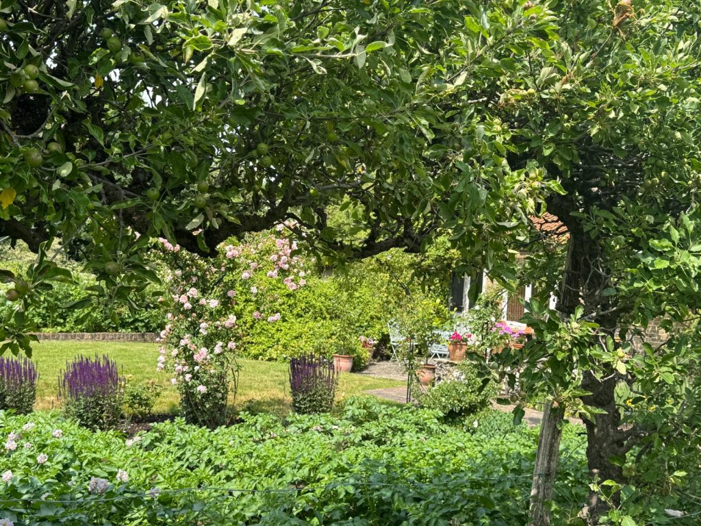 COURT LODGE kent countryside shoot location house PHOTO 2026 04 21 10 58 42(86)