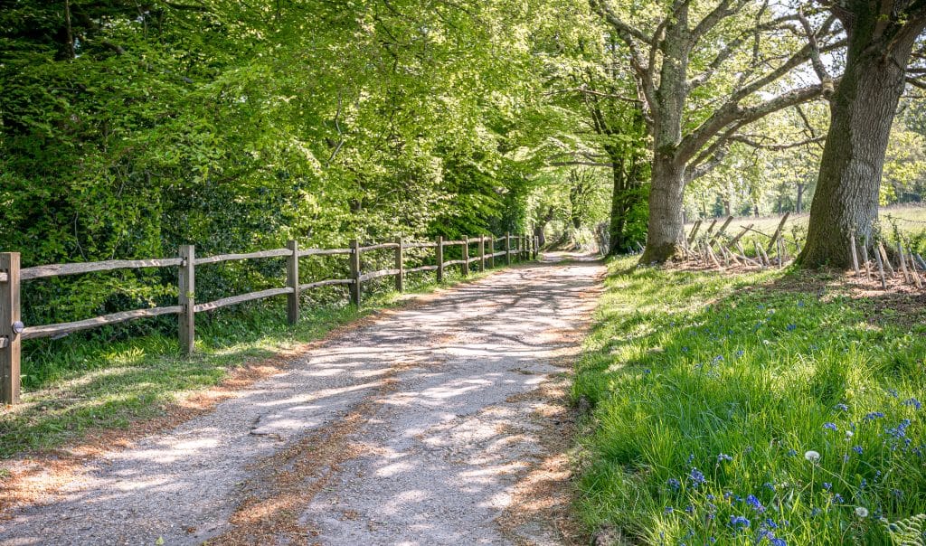 OLD MILL COTTAGE west sussex large location house Location Creation:Old Mill Cottage:Ext11