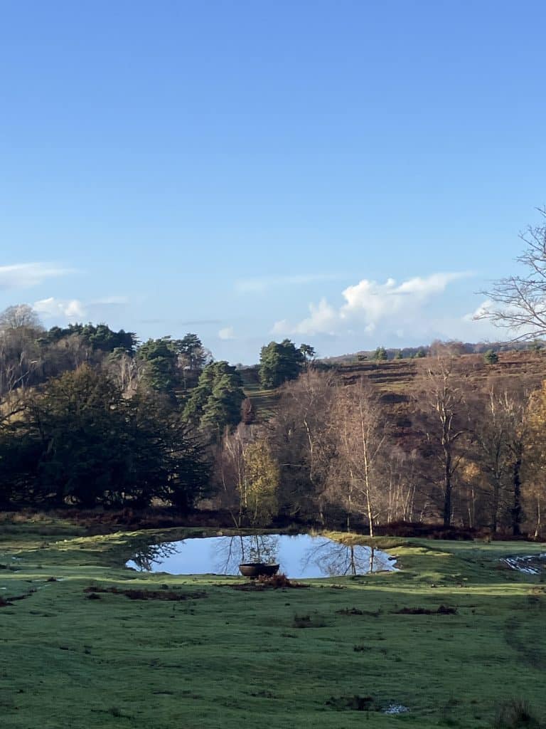 FORESTERS COTTAGE east sussex countryside shoot location house IMG 2086