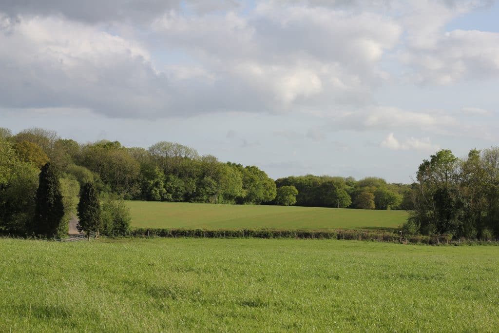 HOOPWICK FARM West sussex countryside shoot location venue event space IMG 7410