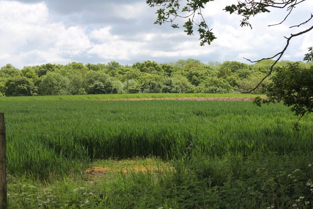 HOOPWICK FARM West sussex countryside shoot location venue event space IMG 9492