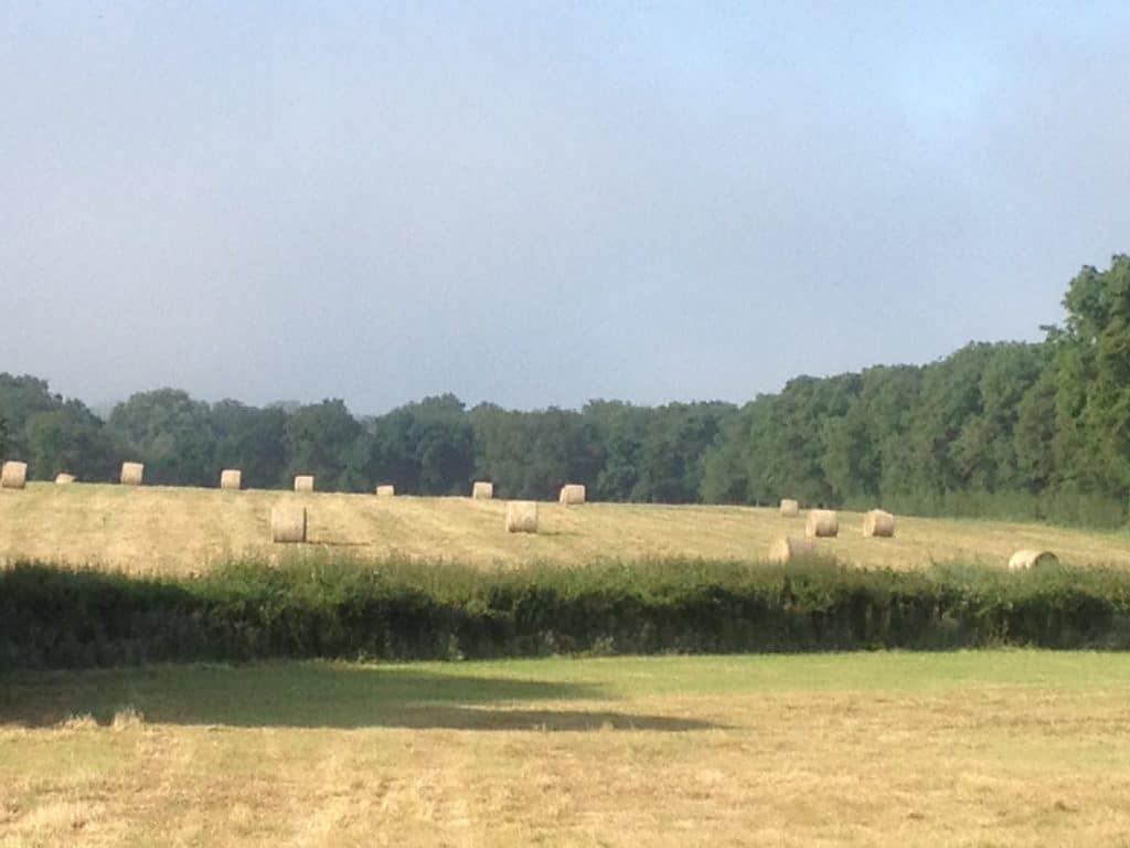 HOOPWICK FARM West sussex countryside shoot location venue event space Photo 19 06 2014, 7 52 52 am