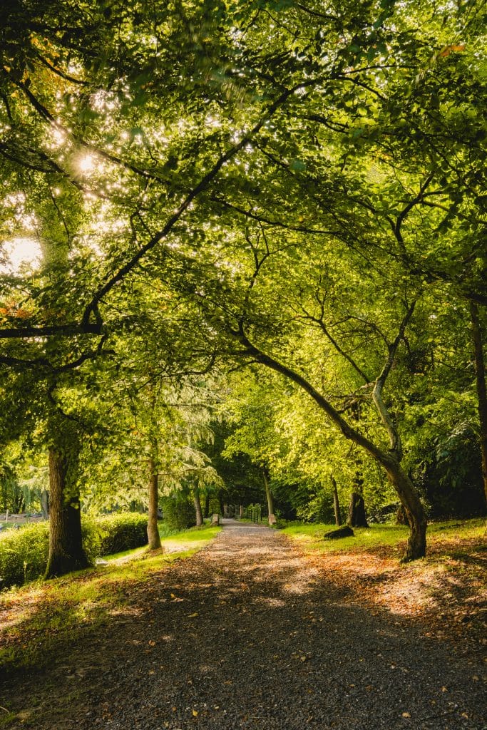 POWDERMILLS east sussex country house venue hotel shoot location Copy of Crafted Grounds 2