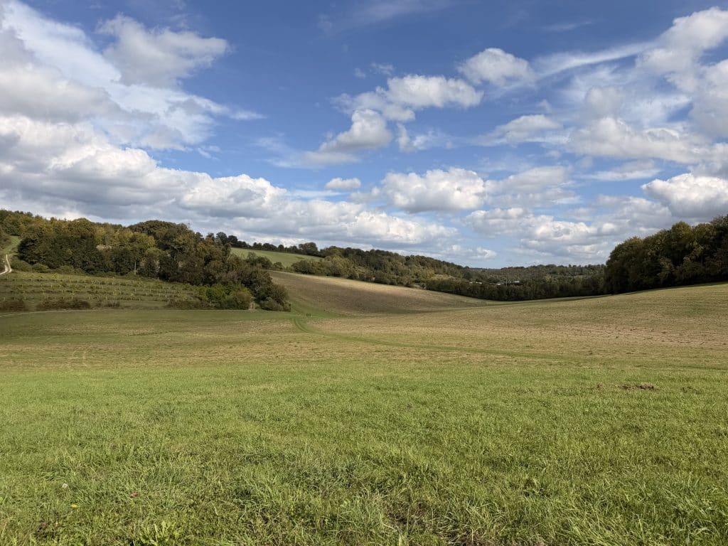 DASHWOOD HOUSE High Wycombe traditional country event venue stately shoot location IMG 2044
