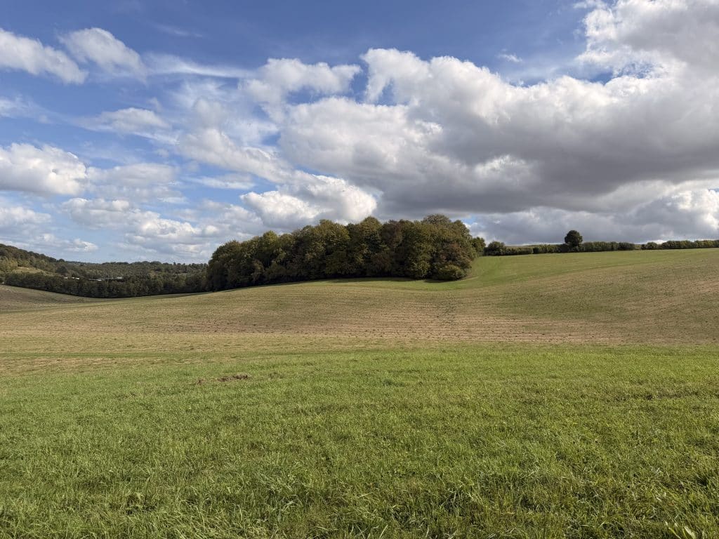 DASHWOOD HOUSE High Wycombe traditional country event venue stately shoot location IMG 2045